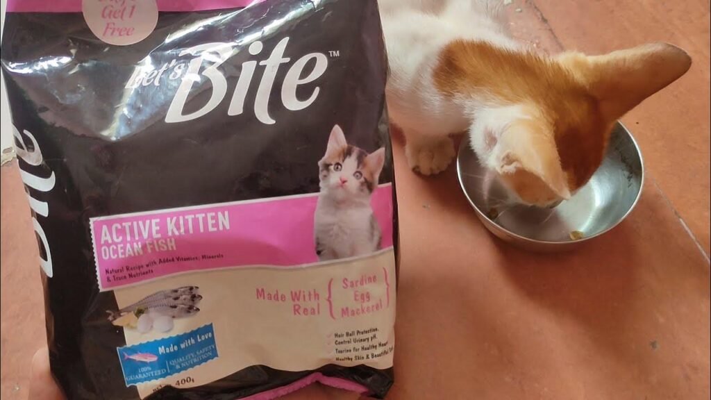 lets bite cat food​